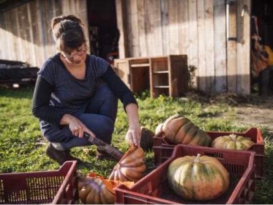 LOI DUPLOMB, une menace toujours d’actualité