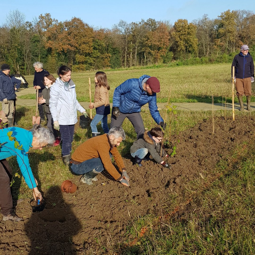 Verger citoyen à Langrolay sur Rance